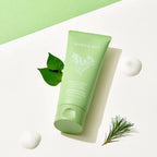 Houttuynia Cordata + Tea Tree Cleansing Foam